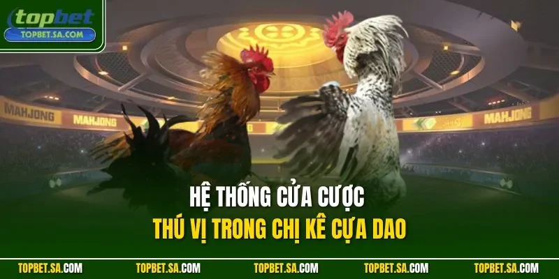 Hệ thống cửa cược thú vị trong chị kê cựa dao