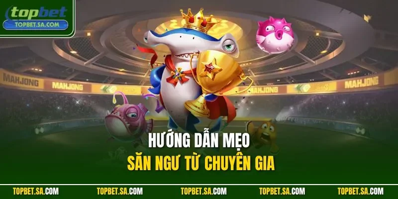 Hướng dẫn mẹo săn ngư từ chuyên gia