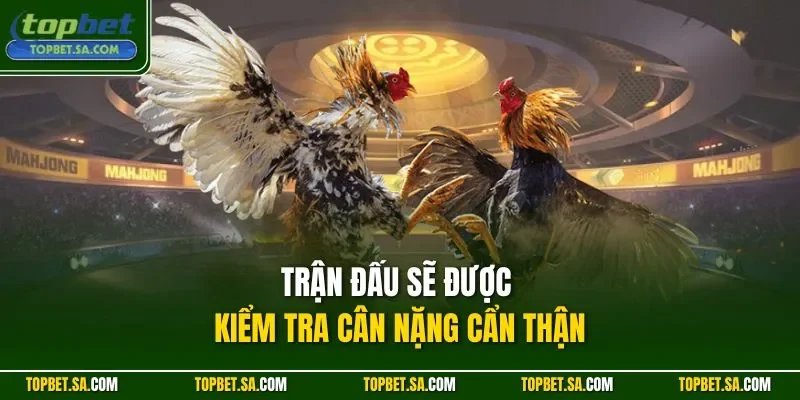 Trận đấu sẽ được kiểm tra cân nặng cẩn thận